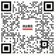 做的新兴电商平台